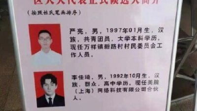 网上传出一张李佳琦参选上海浦东新区人大代表198选区候选人公示的图片，其中学历一栏所标注的高中学历，引发网民对其学历造假的质疑。