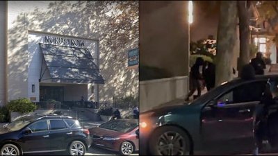 三藩市北部城市核桃溪的一家精品百货公司“诺德斯特龙”遭到大约80名蒙面抢匪集体洗劫，他们乘坐至少25辆车辆逃离。（图取自BuzzFeed/谷歌/推特@JodiHernandezTV）