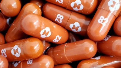 凯里推文称政府开始谈判，采购美国Merck制药厂抗冠病口服药物。（图取自路透社/默克公司提供）