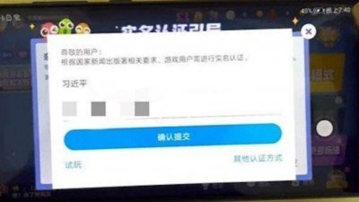 中国网民拿国家主席习近平个人资料实名认证，成功登入游戏。 （图取自网络）