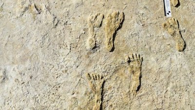 白沙国家公园拥有最大的人类足迹化石。（图取自美国国家公园管理局网站）
