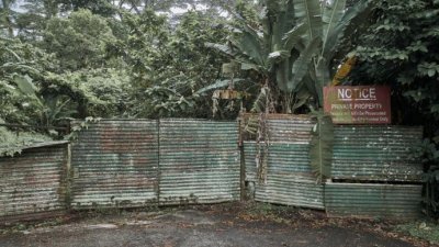 柔佛王室持有的有关地段位于新加坡荷兰路，靠近植物园，一直是大门深锁。