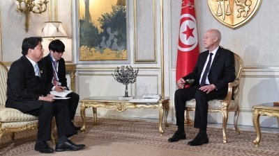 突尼西亚总统赛义德周五接见日本外长林芳正。（图取自路透社）