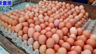业者受访时坦言，有听说其他地方的业者会把B级和C级的蛋混合成一托蛋，然后卖B级的价格。