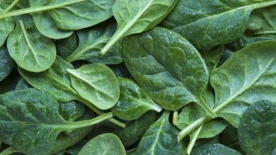 澳洲新南威尔士州Costco贩售当地农场Riviera Farms的菠菜惊传有毒，有9名消费者食用后出现幻觉等症状。（网络示意图）