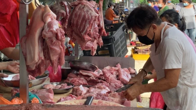 面对入口的猪饲料价格不断高涨，国内的猪肉价格已连涨4次，如今来到每100公斤1380令吉。