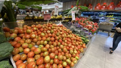 圣诞节统制品之一番茄，售价为每公斤5令吉，但是，陈万民表示，目前的批发价为每公斤6令吉至7令吉，导致市场缺货。