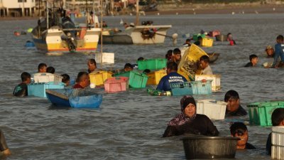 渔民、妇女及孩童纷纷到玻璃市新港海边挖掘海笋。