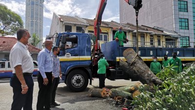 佳日星（左起）与拉詹德兰巡视槟岛市政厅清洁人员清理倒塌的树木。