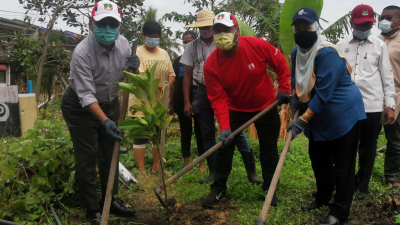 鲁迈兹（左起）、亚哈尼斯及诺西燕蒂，在打昔达迈花园为灾民的园圃重新植树。