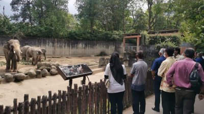 太平动物园是太平著名旅游景点，惟有游客投诉该园忽视防疫标准作业程序，人潮拥挤。