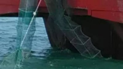 外来渔民以“蜈蚣网”非法方式捕鱼虾，导致十八丁渔船出海捕鱼区域缩小，捕获海产量剧减。