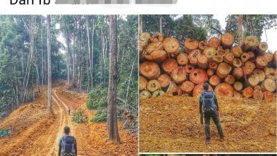 网民流传格列当沙容森林保留区被非法开发的贴文，霹雳州森林局发文澄清这是旧的贴文，并指投诉者对“永久森林保留地”的术语产生混淆。