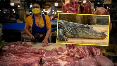 泰国猪肉价格飙升，泰国民众改用鳄鱼肉替代猪肉。图为泰国曼谷的一家猪肉摊贩售卖猪肉。（图取自路透社/Pixabay图库）