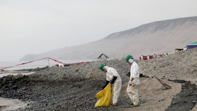 工人们当地时间周六继续清理海岸上的油污。秘鲁副环境部长早前表示，已从海洋和约20处海滩回收4225桶外泄石油。（图取自路透社）