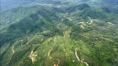矿物及及地理科学局将与大马土地测量与图测局联手调查依娜斯山洪灾肇因。