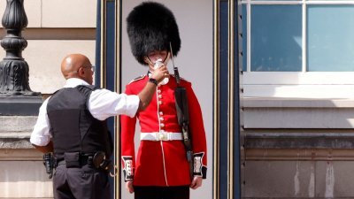 英国伦敦白金汉宫外的一名女王卫队成员，当地时间周一在炎热的天气里喝水。（图取自路透社）