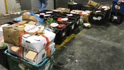 Topstar Trading私人有限公司从马来西亚进口大约250公斤的新鲜蔬菜，因未经申报遭罚款5000新元（约1万5900令吉）。（图：新加坡食品局）