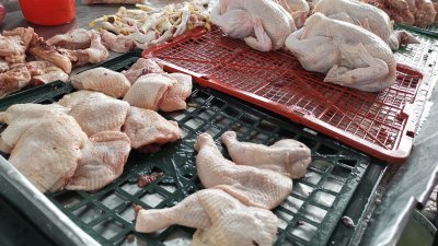 我国禁止活鸡出口，对于柔州鸡农造成打击，周忠信促请州政府公布每个月出口额损失。（图取自周忠信面子书）