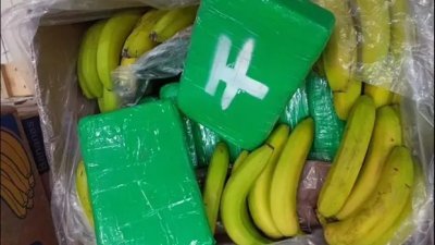 压缩成方块的可卡因被装入水果箱，相信是被误送至超市而遭警方查获。（图取自捷克警察局/英国《卫报》）