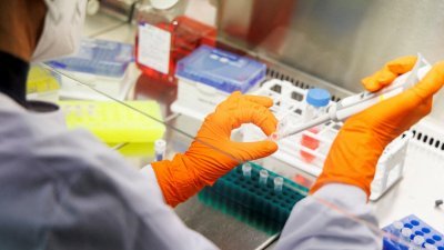 疫苗公司Bavarian Nordic的一名员工于今年5月24日，在德国慕尼黑附近Martinsried的公司实验室工作。（图取自路透社档案照）