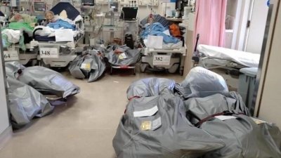 网上流传图片显示，“遗体”摆满医院病房，与活生生的病人处于同一个空间。
