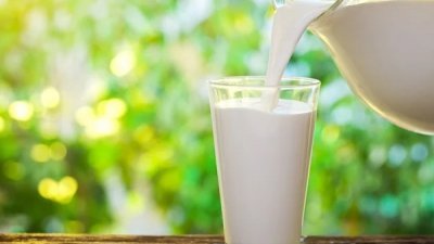 日本营养师认为，晚上喝牛奶，对钙质的吸收效率更好。（图取自互联网）