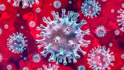 吉打州共出现201宗新冠肺炎变种病毒病例，其中Beta变种病毒病例占14宗、Delta变种病毒病例149宗以及Omicron变种病毒病例38宗。