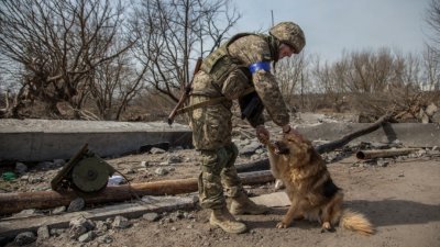 在乌克兰基辅郊外的伊尔平，一名乌克兰军人当地时间周一与狗玩耍。（图取自路透社）