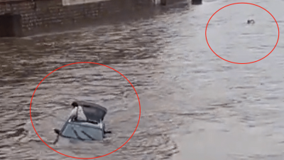 有人（小圈）跳入河中试图救援，惟水流太急而无法靠近女子。
