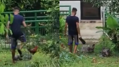 男子用力踩两只野鸡，用拖鞋追打。（视频截图）