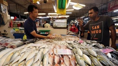 国内渔获市场出现近30年来最严重的短缺情况。（档案照）