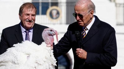美国拜登于当地时间周一，在白宫南草坪按传统举行赦免火鸡仪式。（图取自路透社）