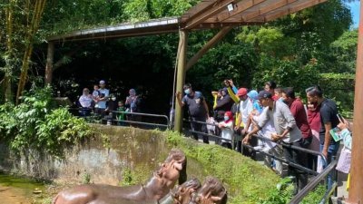 截至今年8月，太平动物园的游客量已达55万8949名，写下过去两年新高。（图取自太平动物园面书）
