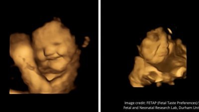 一份研究结果显示，胎儿的表情透露对红萝卜有好感，对叶菜则较反感。（图取自推特）
