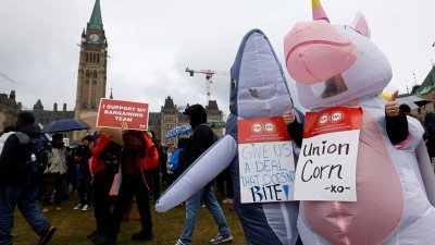 在加拿大安大略省渥太华，大约15万5000名加拿大公共服务联盟 (PSAC) 的会员在4月26日继续罢工，纠察队在国会山游行。（图取自路透社档案照）