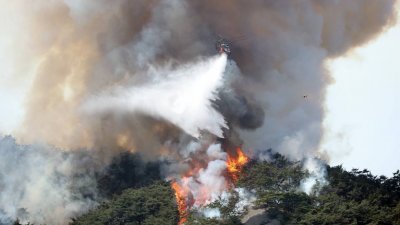 韩国首尔仁王山自周日起开始起火，消防人员使用直升机紧急扑火。由于天气乾燥，火势迅速蔓延至韩国各地。（图取自韩联社/法新社）