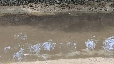 虽然受污染的水已在退潮后有所减少，但河内的生态包括鱼虾恐已被“毒死”。
