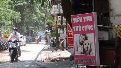 越南吃狗肉的食俗由来已久，然而“把猫狗视为家人”的观念在民间日渐普及，带动“毛小孩商机”涌现，图为河内市一家宠物用品店。（图取自中央社）