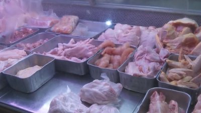 新加坡鲜鸡供应趋向稳定但价格没有下跌，维持在一公斤10新元（约33令吉93仙）左右。