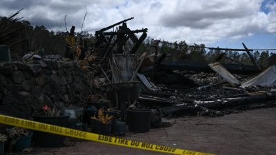 在夏威夷库拉，警方周日用警戒线围住了被毛伊岛野火摧毁的一处房屋。（图取自法新社）