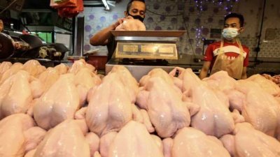 针对鸡肉供应减少导致售价上涨一事，吉打消费人协会主席莫哈末尤里查呼吁政府，寻找最佳机制解决问题。