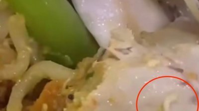 一名女子用餐时发现炸鸡内有蛆虫蠕动，令她直呼令人倒胃口！