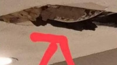 新加坡铁道广场的土司工坊天花板露出大洞，疑现蟒蛇。