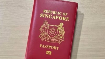 卖家透过淘宝贩卖印有不同国家徽章的护照套，包括新加坡。