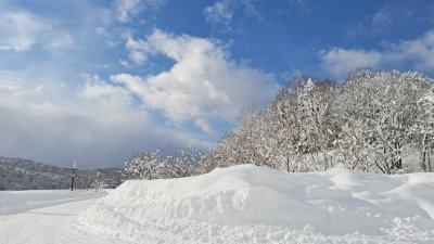 日本北海道北部城市留萌市周三的积雪量最大，营造白雪皑皑的美丽雪景。（图取自X社交平台@Wind_era_life）