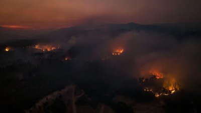 图为智利阿劳卡尼亚地区发生林火的鸟瞰图，可见森林处处都有野火火苗。（图取自法新社）