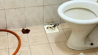 马桶就在旁边，租户却在厕所地砖上留下粪便。