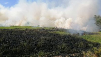 吉打高速大道旁面积约1公顷的丛林发生火灾，浓烟密布。