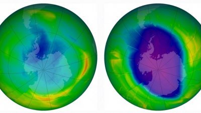 这张由美国太空总署（NASA）地球观测站在2009年12月1日发布的组合图像，显示1979年（左）和2009年每年臭氧层的大小和形状。（图取自NASA/法新社档案照）